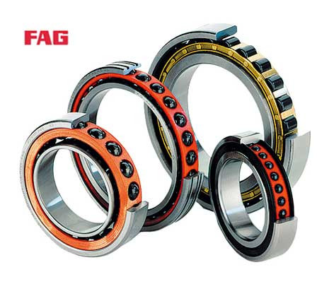  HK121818 CX Cylindrical roller bearing
