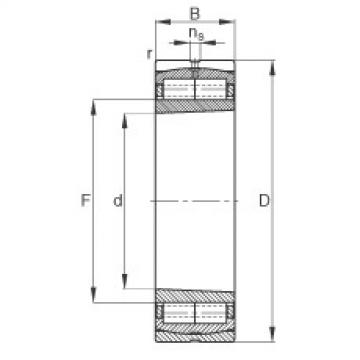  F-800481.ZL-K-C5 FAG Cylindrical roller bearing