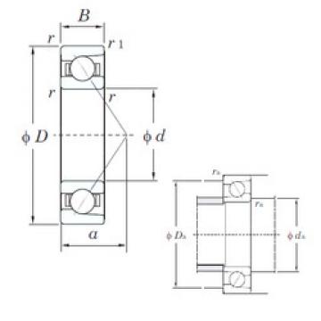  7007C KOYO Angular Contact Ball bearing 